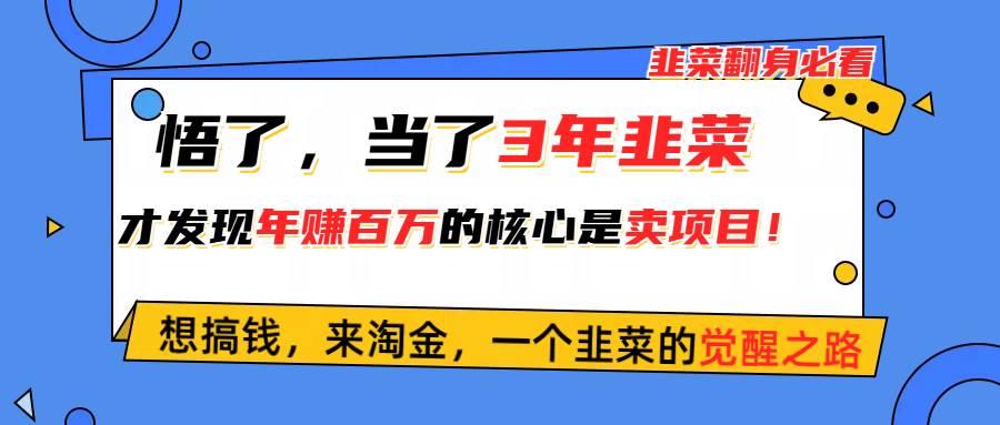 悟了，当了3年韭菜，才发现网赚圈年赚100万的核心是卖项目，含泪分享！轻创网-网创项目资源站-副业项目-创业项目-搞钱项目轻创网