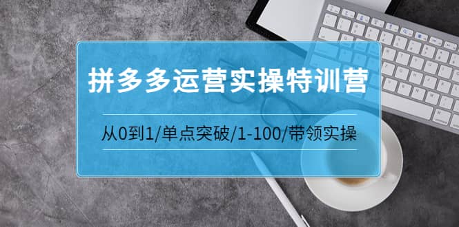 拼多多运营实操特训营：从0到1/单点突破/1-100/带领实操 价值2980元轻创网-网创项目资源站-副业项目-创业项目-搞钱项目轻创网