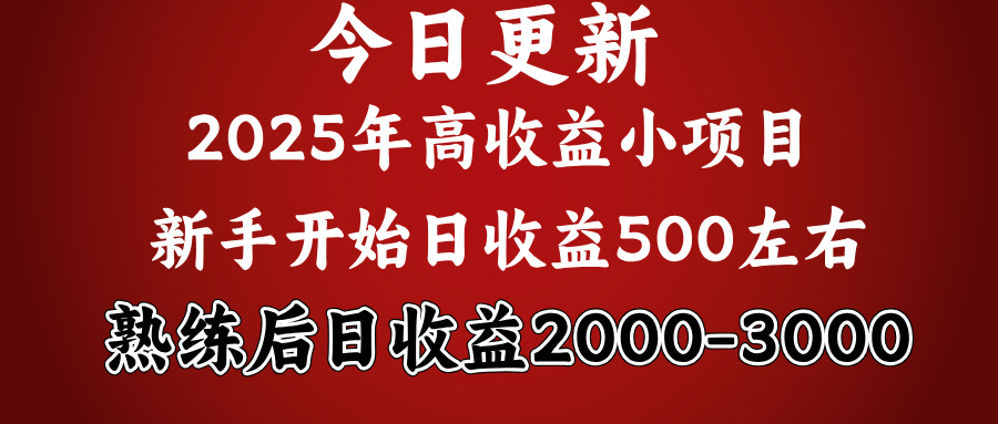好项目一眼就能看出来，日收益1000，长久可做，2025拼的就是我比你勤奋轻创网-网创项目资源站-副业项目-创业项目-搞钱项目轻创网