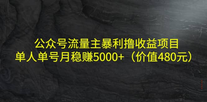 公众号流量主暴利撸收益项目，单人单号月稳赚5000+（价值480元）轻创网-网创项目资源站-副业项目-创业项目-搞钱项目轻创网