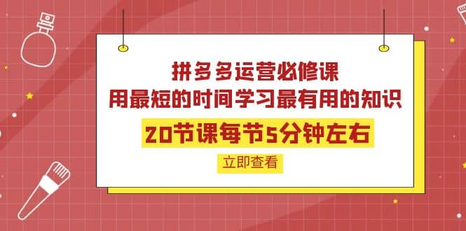 拼多多运营必修课：20节课每节5分钟左右，用最短的时间学习最有用的知识轻创网-网创项目资源站-副业项目-创业项目-搞钱项目轻创网