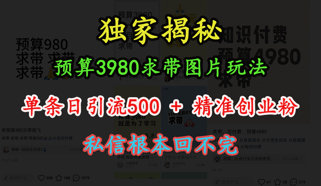 “小红书”预算3980求带 图片玩法，单条日引流500+精准创业粉，私信根本回不完轻创网-网创项目资源站-副业项目-创业项目-搞钱项目轻创网