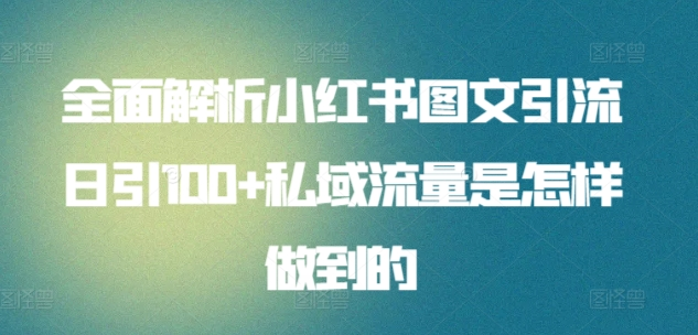 全面解析小红书图文引流日引100私域流量是怎样做到的轻创网-网创项目资源站-副业项目-创业项目-搞钱项目轻创网