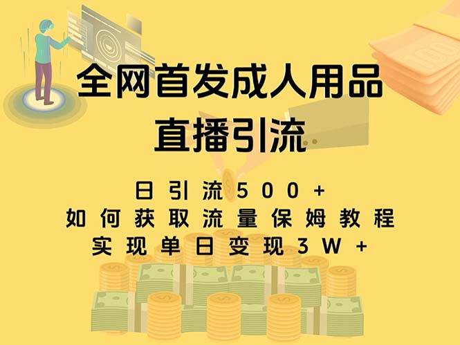 最新全网独创首发，成人用品直播引流获客暴力玩法，单日变现3w保姆级教程轻创网-网创项目资源站-副业项目-创业项目-搞钱项目轻创网