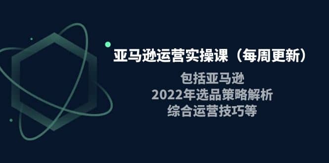 亚马逊运营实操课（每周更新）包括亚马逊2022选品策略解析，综合运营技巧等轻创网-网创项目资源站-副业项目-创业项目-搞钱项目轻创网