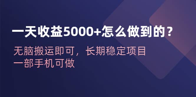 一天收益5000+怎么做到的？无脑搬运即可，长期稳定项目，一部手机可做轻创网-网创项目资源站-副业项目-创业项目-搞钱项目轻创网