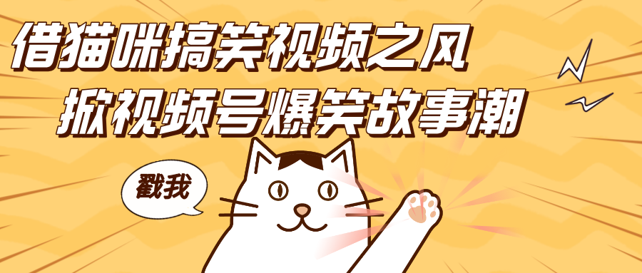 借猫咪搞笑视频之风，掀视频号爆笑故事潮，轻松日赚四位数，开启无门槛赚钱新体验！轻创网-网创项目资源站-副业项目-创业项目-搞钱项目轻创网