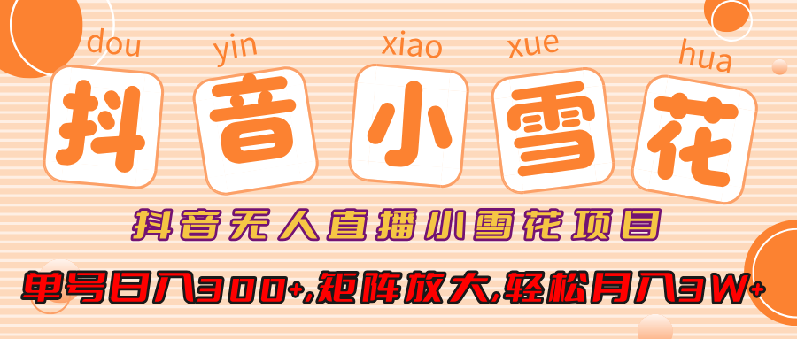抖音无人直播，小雪花项目，单号日入300+,矩阵放大,轻松月入3W+轻创网-网创项目资源站-副业项目-创业项目-搞钱项目轻创网