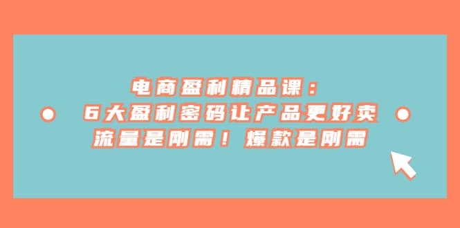 电商 盈利精品课:6大盈利 密码让产品更好卖,流量是刚需!爆款是刚需轻创网-网创项目资源站-副业项目-创业项目-搞钱项目轻创网