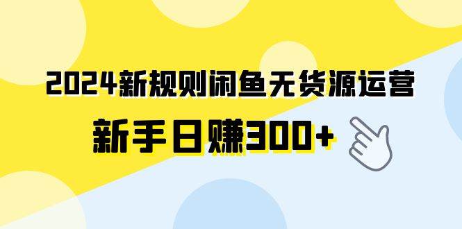 2024新规则闲鱼无货源运营新手日赚300+轻创网-网创项目资源站-副业项目-创业项目-搞钱项目轻创网