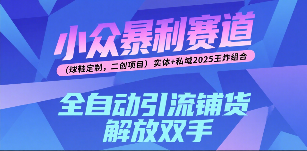 楠—小众暴利赛道（球鞋定制，二创项目）实体+私域2025王炸组合轻创网-网创项目资源站-副业项目-创业项目-搞钱项目轻创网