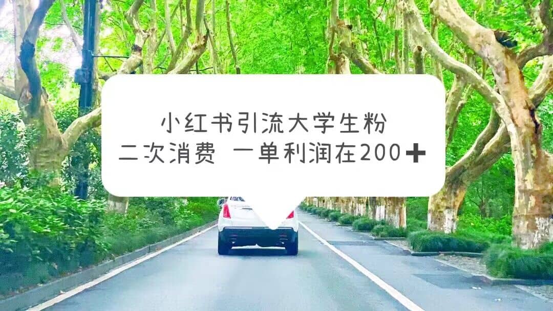 小红书引流大学生粉，变现项目，一单利润在200+（教程+资源）轻创网-网创项目资源站-副业项目-创业项目-搞钱项目轻创网