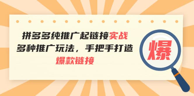拼多多纯推广起链接实战：多种推广玩法，手把手打造爆款链接轻创网-网创项目资源站-副业项目-创业项目-搞钱项目轻创网