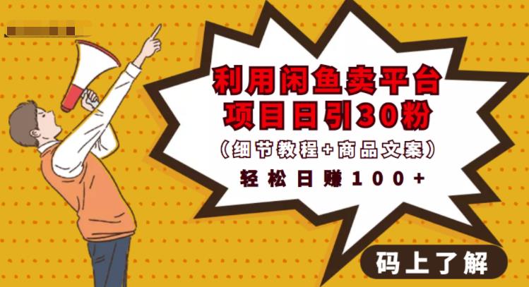 利用闲鱼卖平台项目课程资源日引流30+精准粉丝，轻松日赚100+，积累人脉可实现二次变现（细节教程+商品文案）轻创网-网创项目资源站-副业项目-创业项目-搞钱项目轻创网