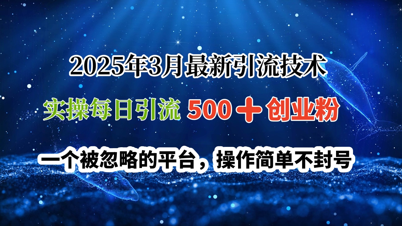 2025年3月最新引流技术，实操每日引流500➕创业粉，一个被忽略的平台，操作简单不封号轻创网-网创项目资源站-副业项目-创业项目-搞钱项目轻创网