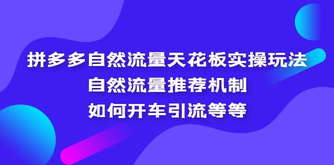 拼多多自然流量天花板实操玩法：自然流量推荐机制，如何开车引流等等轻创网-网创项目资源站-副业项目-创业项目-搞钱项目轻创网