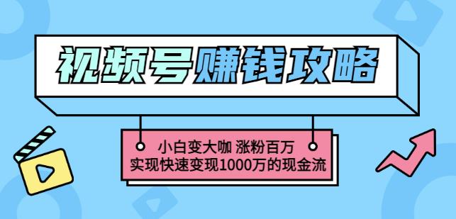 玩转微信视频号赚钱：小白变大咖涨粉百万实现快速变现1000万的现金流轻创网-网创项目资源站-副业项目-创业项目-搞钱项目轻创网