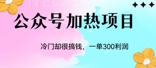 冷门公众号加热项目，一单利润300+轻创网-网创项目资源站-副业项目-创业项目-搞钱项目轻创网