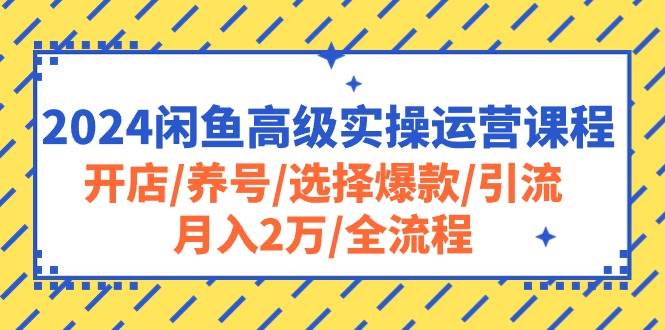2024闲鱼高级实操运营课程：开店/养号/选择爆款/引流/月入2万/全流程轻创网-网创项目资源站-副业项目-创业项目-搞钱项目轻创网
