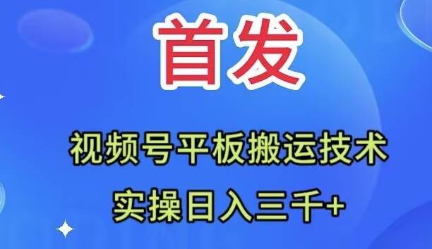 全网首发：视频号平板搬运技术，实操日入三千＋轻创网-网创项目资源站-副业项目-创业项目-搞钱项目轻创网