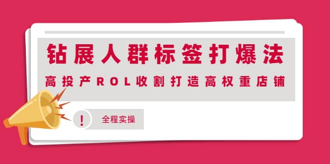 钻展人群标签打爆法，高投产ROL收割打造高权重店铺(全程实操)轻创网-网创项目资源站-副业项目-创业项目-搞钱项目轻创网