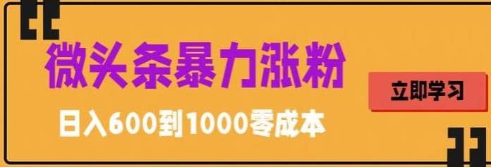 微头条暴力涨粉技巧搬运文案就能涨几万粉丝，简单0成本，日赚600轻创网-网创项目资源站-副业项目-创业项目-搞钱项目轻创网