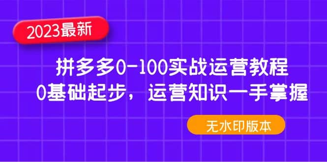 2023拼多多0-100实战运营教程，0基础起步，运营知识一手掌握（无水印）轻创网-网创项目资源站-副业项目-创业项目-搞钱项目轻创网