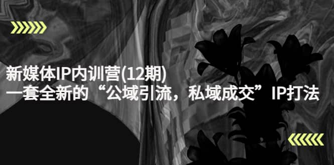 新媒体IP内训营(12期)，一套全新的“公域引流，私域成交”IP打法，直接带走轻创网-网创项目资源站-副业项目-创业项目-搞钱项目轻创网
