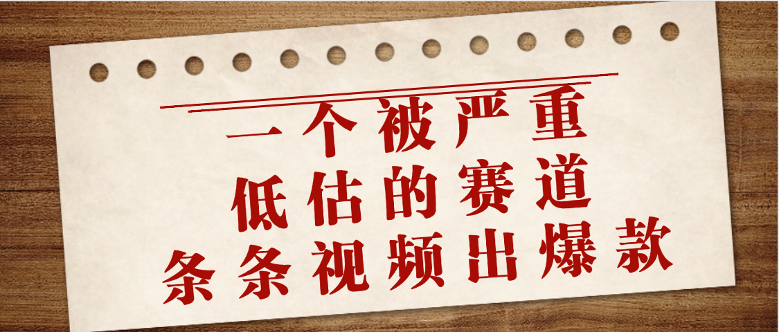 一个被严重低估的赛道，条条视频出爆款，一个月变现3万+轻创网-网创项目资源站-副业项目-创业项目-搞钱项目轻创网