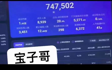 宝子哥无人直播，半无人直播，Obs+伴侣玩法，快速打标签+养鱼轻创网-网创项目资源站-副业项目-创业项目-搞钱项目轻创网