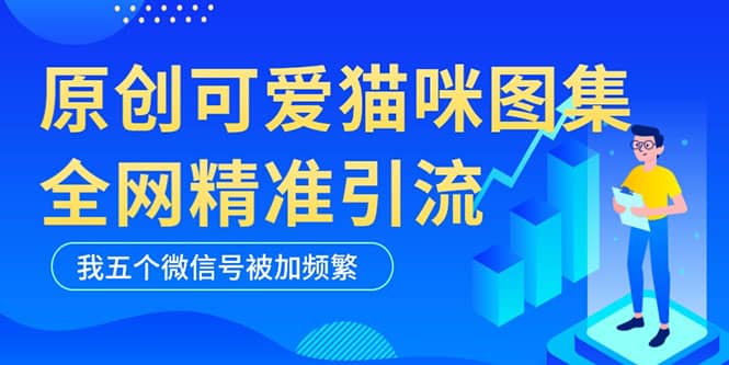 黑科技纯原创可爱猫咪图片，全网精准引流，实操5个VX号被加频繁轻创网-网创项目资源站-副业项目-创业项目-搞钱项目轻创网