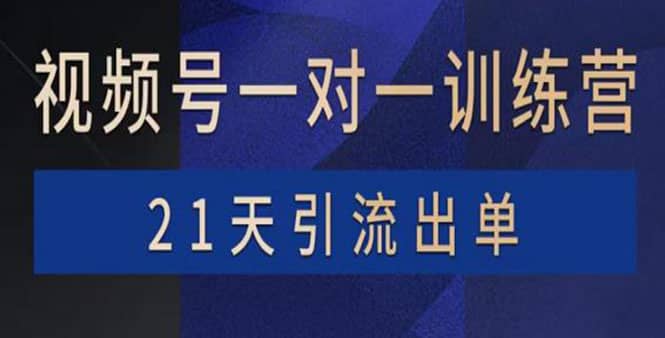 视频号训练营：带货，涨粉，直播，游戏，四大变现新方向，21天引流出单轻创网-网创项目资源站-副业项目-创业项目-搞钱项目轻创网