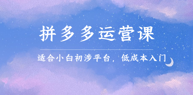 拼多多运营课，适合小白初涉平台，低成本入门轻创网-网创项目资源站-副业项目-创业项目-搞钱项目轻创网
