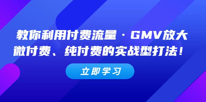 教你利用付费流量·GMV放大，微付费、纯付费的实战型打法轻创网-网创项目资源站-副业项目-创业项目-搞钱项目轻创网