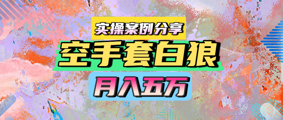 空手套白狼，月入五万，实操案例分享轻创网-网创项目资源站-副业项目-创业项目-搞钱项目轻创网