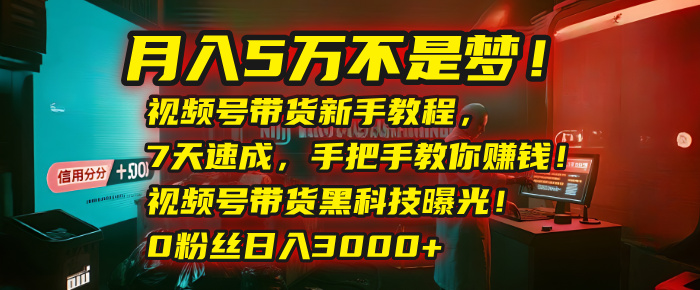 月入5万不是梦！视频号带货新手教程，7天速成，手把手教你赚钱！视频号带货黑科技曝光！0粉丝日入3000+轻创网-网创项目资源站-副业项目-创业项目-搞钱项目轻创网