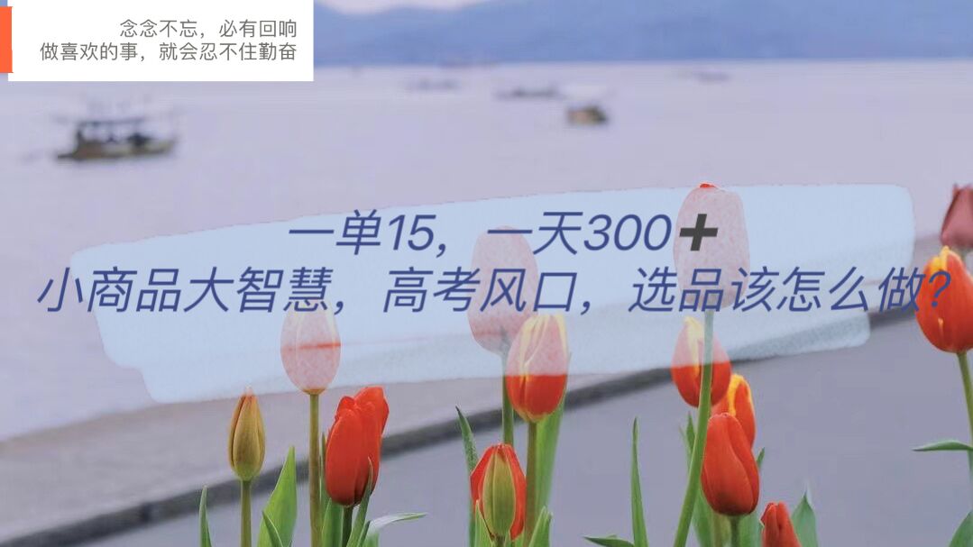 一单15，一天300+，小商品大智慧，高考风口，选品该怎么布局轻创网-网创项目资源站-副业项目-创业项目-搞钱项目轻创网