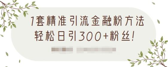 1套精准引流金融粉方法，轻松日引300+粉丝【视频课程】轻创网-网创项目资源站-副业项目-创业项目-搞钱项目轻创网