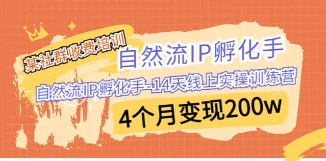某社群收费培训:自然流IP 孵化手-14天线上实操训练营 4个月变现200w轻创网-网创项目资源站-副业项目-创业项目-搞钱项目轻创网