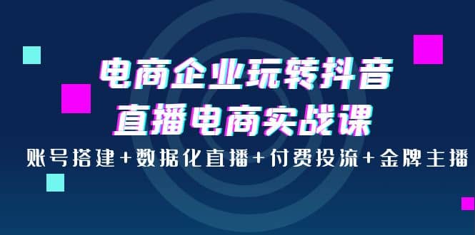 电商企业玩转抖音直播电商实战课：账号搭建+数据化直播+付费投流+金牌主播轻创网-网创项目资源站-副业项目-创业项目-搞钱项目轻创网
