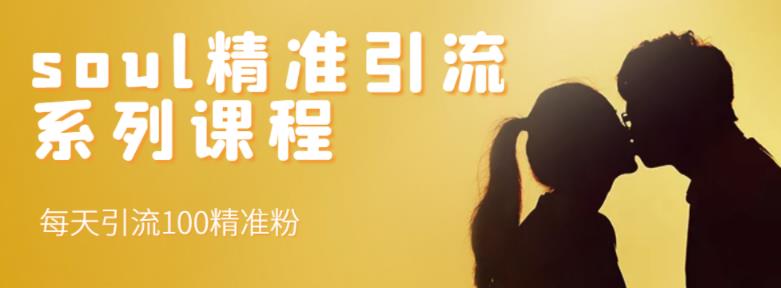 soul精准引流系列课程，每天引流100精准粉轻创网-网创项目资源站-副业项目-创业项目-搞钱项目轻创网