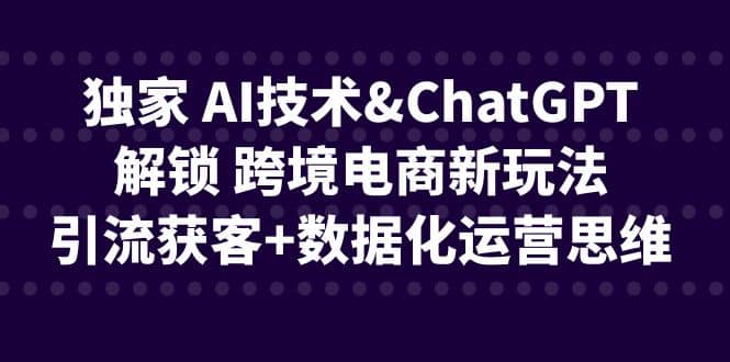独家 AI技术ChatGPT解锁 跨境电商新玩法，引流获客+数据化运营思维轻创网-网创项目资源站-副业项目-创业项目-搞钱项目轻创网
