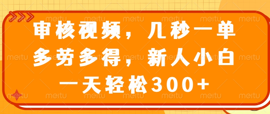 视频审核员，几秒一单，多劳多得，新人小白一天轻松300+轻创网-网创项目资源站-副业项目-创业项目-搞钱项目轻创网