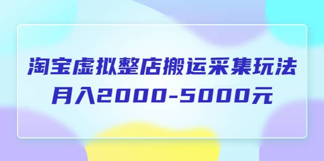 淘宝虚拟整店搬运采集玩法分享课：月入2000-5000元（5节课）轻创网-网创项目资源站-副业项目-创业项目-搞钱项目轻创网