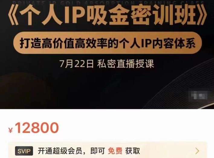 个人IP吸金密训班，打造高价值高效率的个人IP内容体系（价值12800元）轻创网-网创项目资源站-副业项目-创业项目-搞钱项目轻创网