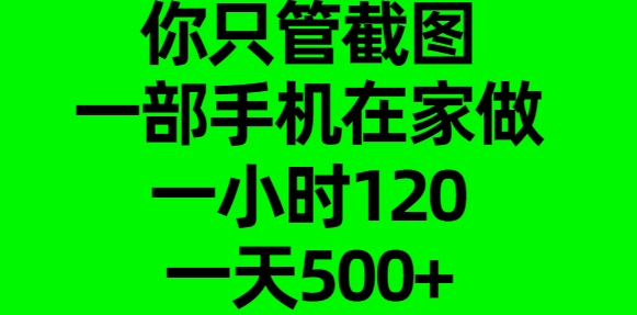 你只管截图，一部手机在家做，一小时120，一天500+轻创网-网创项目资源站-副业项目-创业项目-搞钱项目轻创网