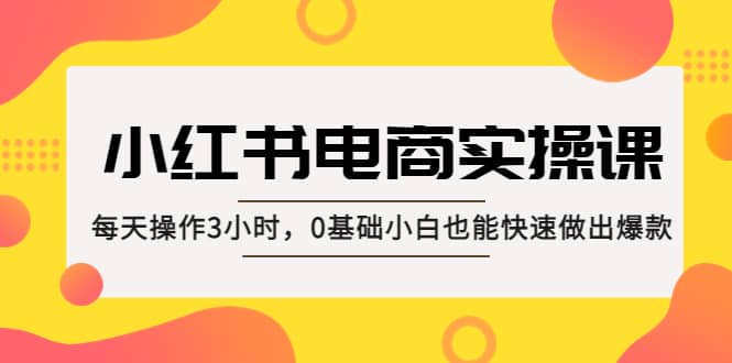 小红书·电商实操课：每天操作3小时，0基础小白也能快速做出爆款轻创网-网创项目资源站-副业项目-创业项目-搞钱项目轻创网