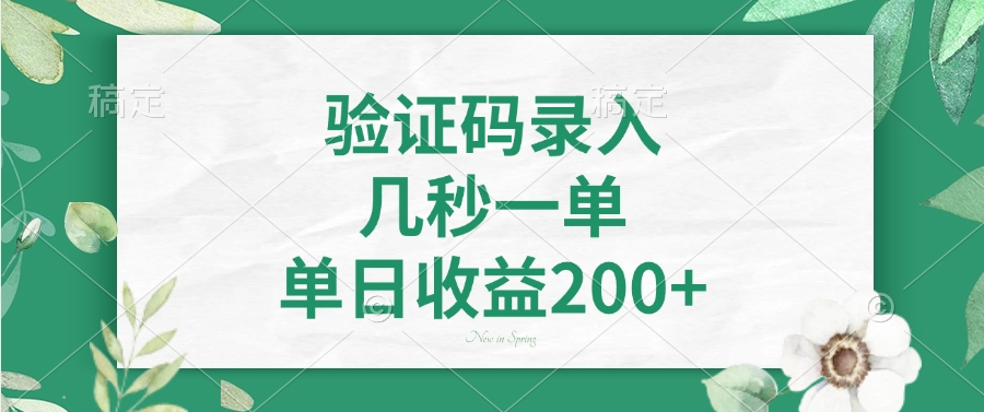 验证码录入，几秒一单，单日收益200+轻创网-网创项目资源站-副业项目-创业项目-搞钱项目轻创网