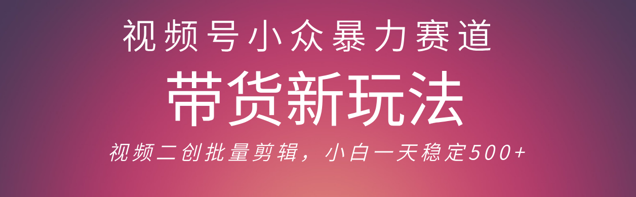 视频号小众暴力赛道，最新带货玩法 小白也能轻松日入500+ 保姆及教程轻创网-网创项目资源站-副业项目-创业项目-搞钱项目轻创网