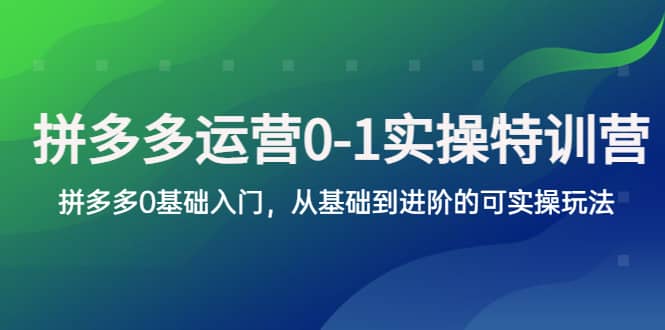 拼多多-运营0-1实操训练营，拼多多0基础入门，从基础到进阶的可实操玩法轻创网-网创项目资源站-副业项目-创业项目-搞钱项目轻创网